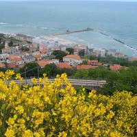 Appartamento a pochi passi dal mare