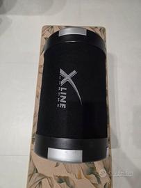 subwoofer 300 watt