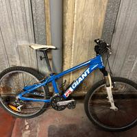 Mountain bike giant per bambini
