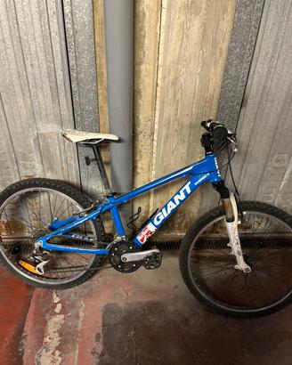Mountain bike giant per bambini