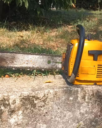 Motosega 