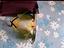 Immagine 4