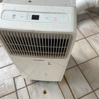 Climatizzatore ed deumificatore