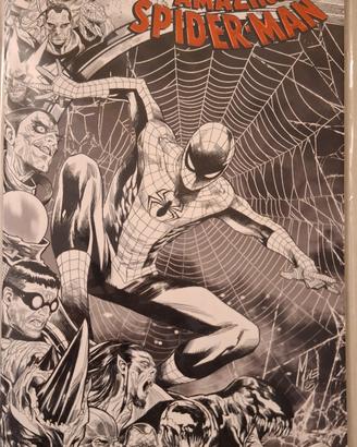 AMAZING SPIDER-MAN 1/874 Variant Checchetto