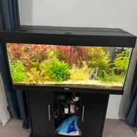 Acquario Juwel 180 completo - pronto all’uso!