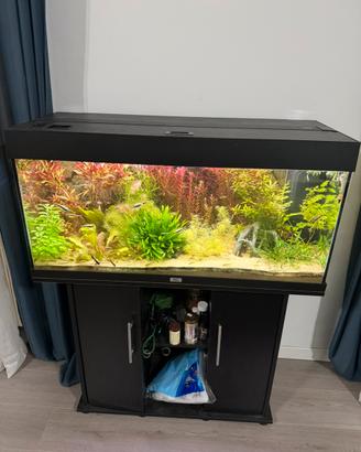 Acquario Juwel 180 completo - pronto all’uso!