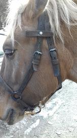 Capezza in cuoio ex esercito svizzero