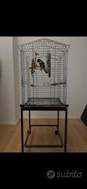 Voliera pappagalli