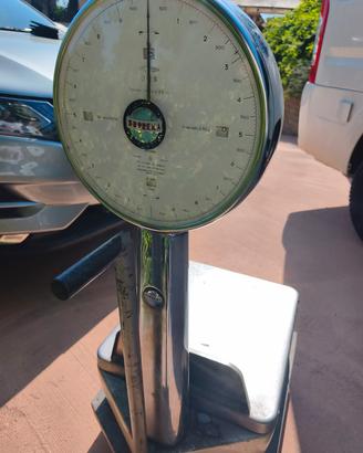bilancia professionale carrellata fino a 100 kg