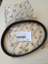 Cinghia trasmissione Peugeot Sum Up 125