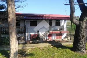 CASA SEMINDIPENDENTE A CUTRO