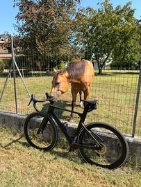 Bici da corsa Aero in Carbonio