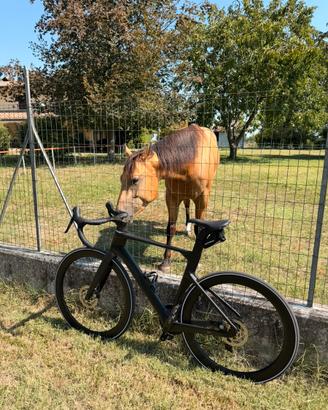 Bici da corsa Aero in Carbonio