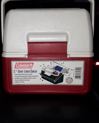 Portavivande anni 80