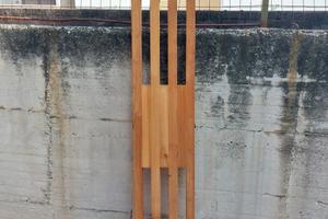 PASSERELLA IN LARICE