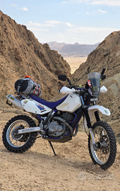 Suzuki DR 650 SE Rally iscritto ASI