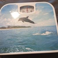 stock bilancia e orologio