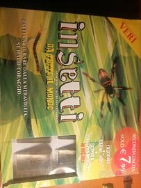 Insetti da collezione 