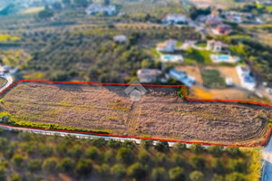 TER. AGRICOLO A PARTINICO