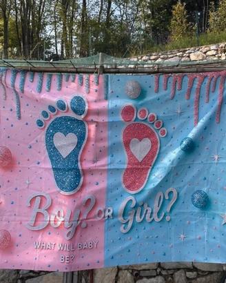 Decorazione Festa Gender Reveal