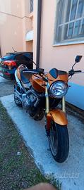 Honda Hornet 600cc