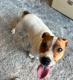 Maschio con pedigree ROI