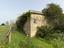 Immagine 3
