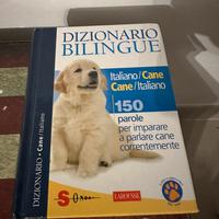 Dizionario bilingue