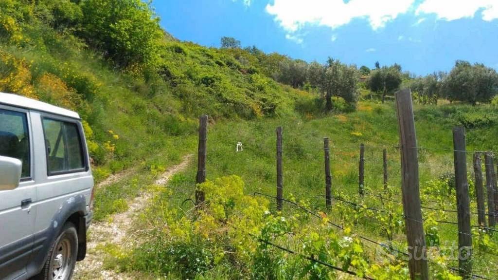 Immobile in asta di 10767 m² a Luzzi - Vista 3
