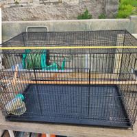 gabbia per pappagalli