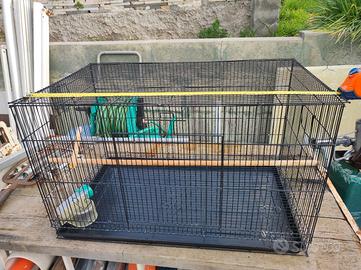 gabbia per pappagalli