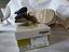 Immagine 1