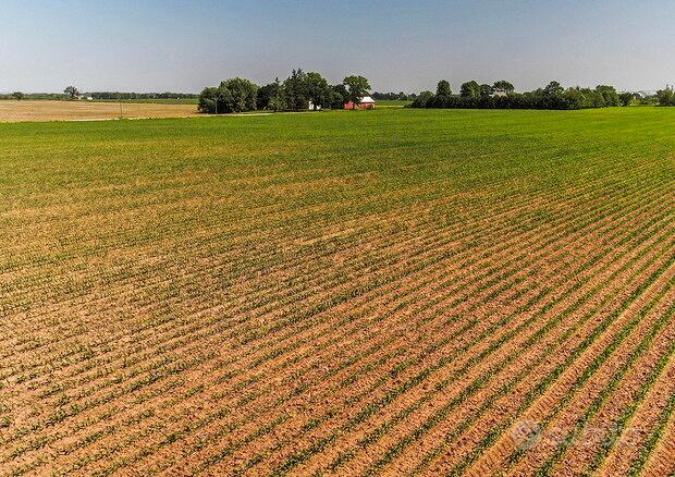 Terreno Agricolo nel cuore di Conselve - Vista 2