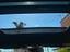 Immagine 16
