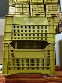 Ceste per raccolta olive