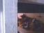Immagine 6