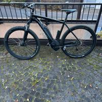 E-bike – ben tenuta