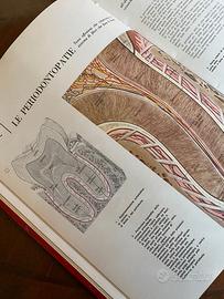 Enciclopedia completa illustrata “Guida Medica” -