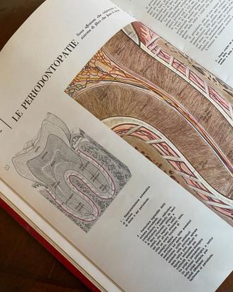 Enciclopedia completa illustrata “Guida Medica” -