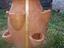 Immagine 3