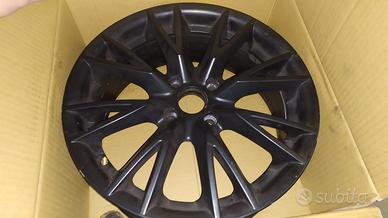Cerchi Lotus Y-Spoke (Type Spider)
