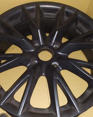 Cerchi Lotus Y-Spoke (Type Spider)