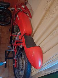 Benelli Competizione