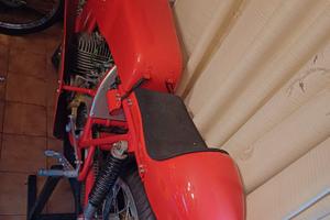 Benelli Competizione