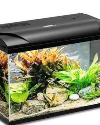 Acquario