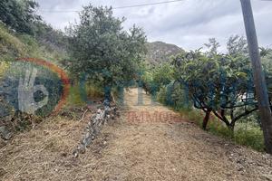 Terreno Agricolo Messina [0681-47VCG]