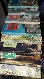RIVISTE SELEZIONE READER'S DIGEST