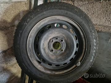 gomme  pneumatici fiat