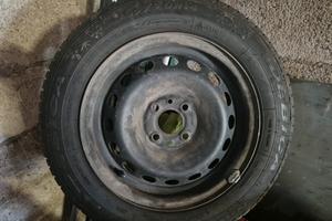 gomme  pneumatici fiat