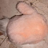 Coniglietto Rosa